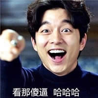 孔刘表情包