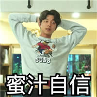 孔刘表情包
