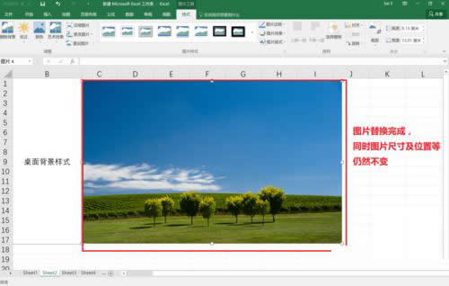 Excel2016滻ͼƬExcel2016滻ͼƬͼϸ̳_Excelר