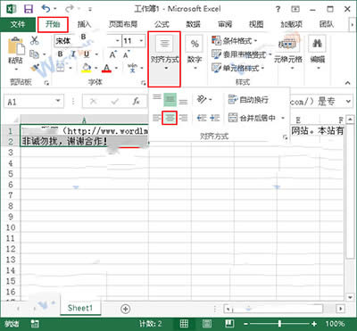 Excel2013