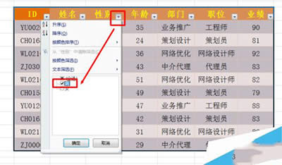 excelɸѡãexcel2013ɸѡͼϸ̳_Excelר