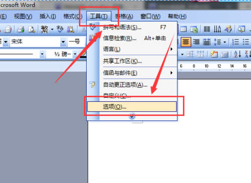 Word2003ĵϢ_Wordר