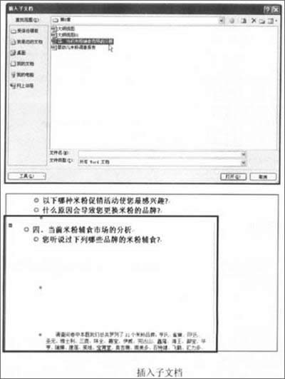 word 2007