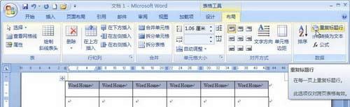 Word 2007ظСť