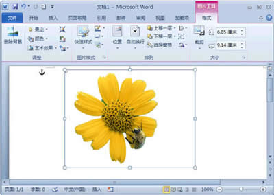 Word2010ͼƬ_Wordר