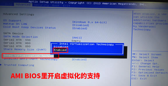 BIOSûп⻯ֵ֧µVirtualBox޷