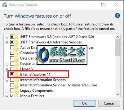 Windows10internet explorerɾ