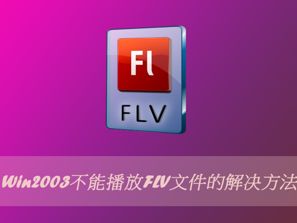 Win2003ܲFLVļĽ(ͼ)