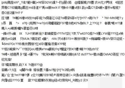 乱码 乱码