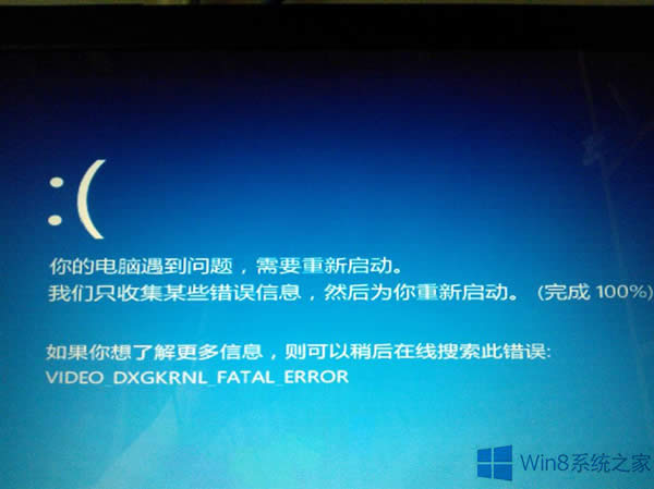 Win8.1ʾvideo dxgkrnl fatal errorĽ