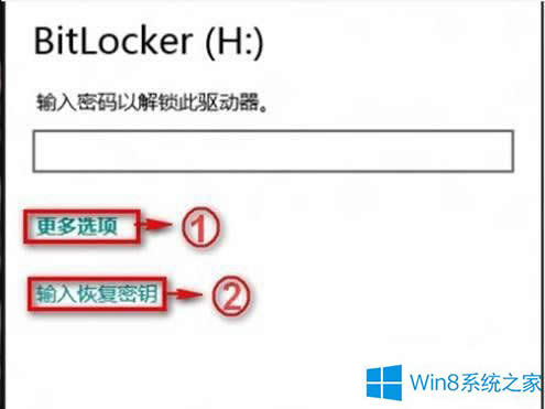 Win8BitLockerļô