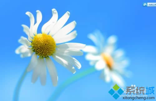 win8Ľ