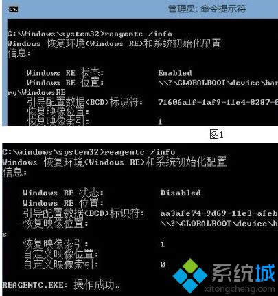 룺reagentc /info 