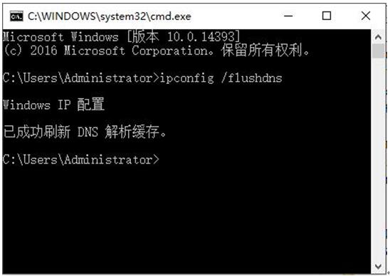 Win10ϵͳӦ֮DNS漼