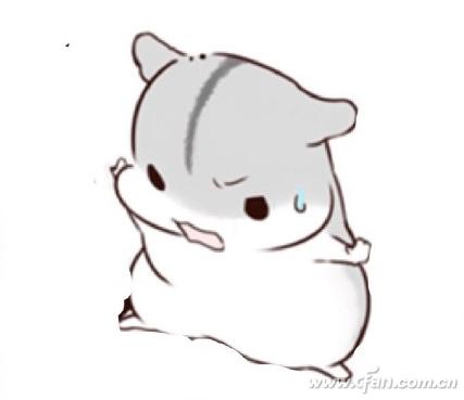 ѡϸڶҪעɶ