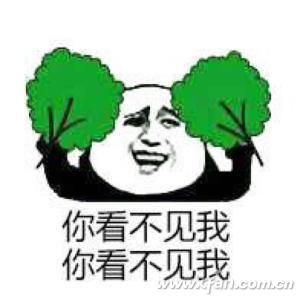 Wi-FiԽԽŪ