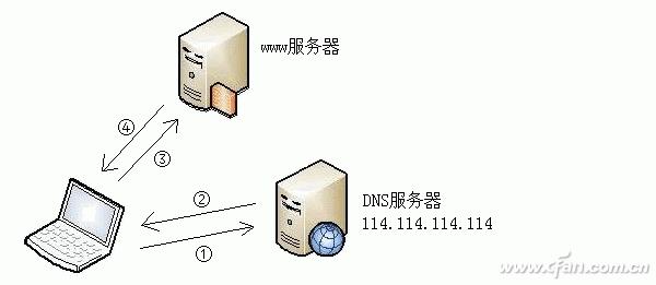 ɶDNS?ѡʺԼDNS