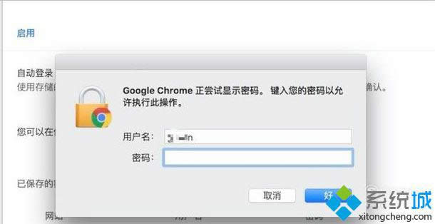 xp系统下运用Chrome浏览器找到已遗忘密码的办法