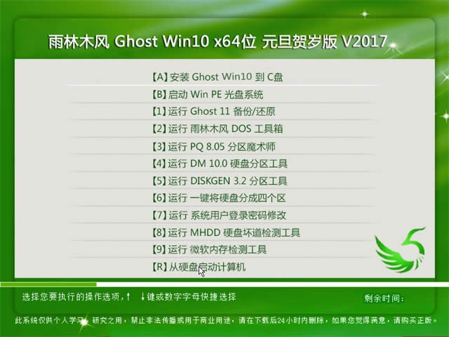 windows10雨林木风
