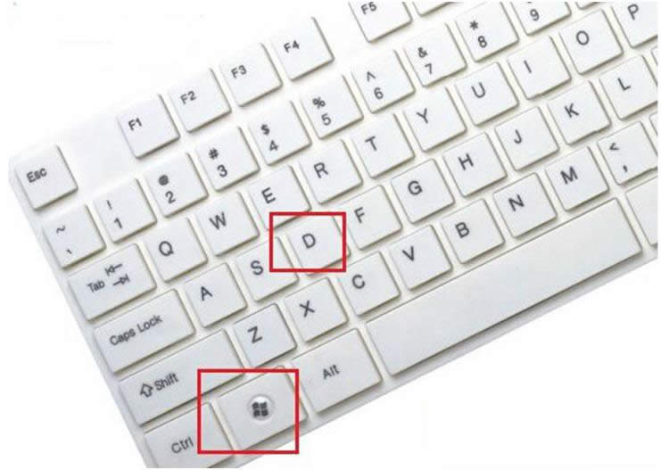 Win10ϵͳѸл